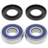 Kit roulements de roue arrière ALL BALLS Suzuki RM125/Honda VT800 Shadow - 1039938