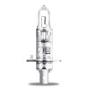 Ampoule OSRAM Super Bright H1 12V/55W - X1 - 1114476