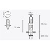 Ampoule V PARTS H1 12V 55W - 1079304