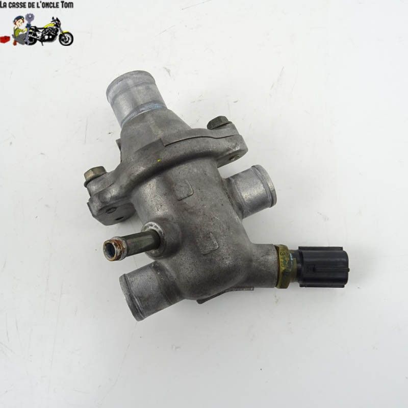 Calorstat Suzuki 650 SV 2004 - CTM-9984-052