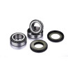 Kit roulements de roue FACTORY LINKS - 1128889