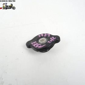 Bouchon de radiateur Kawasaki 650 ER6N 2012 - CTM-9979-044