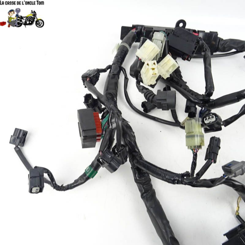 Faisceau électrique Honda 650 CBF 2015 - CTM-10192-026