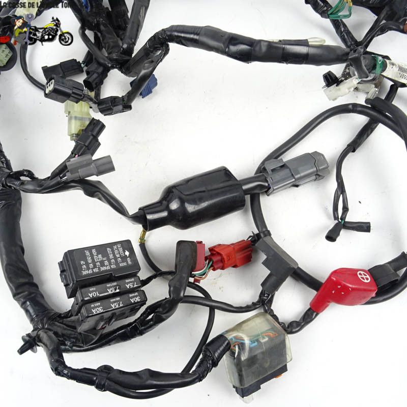 Faisceau électrique Honda 650 CBF 2015 - CTM-10192-026