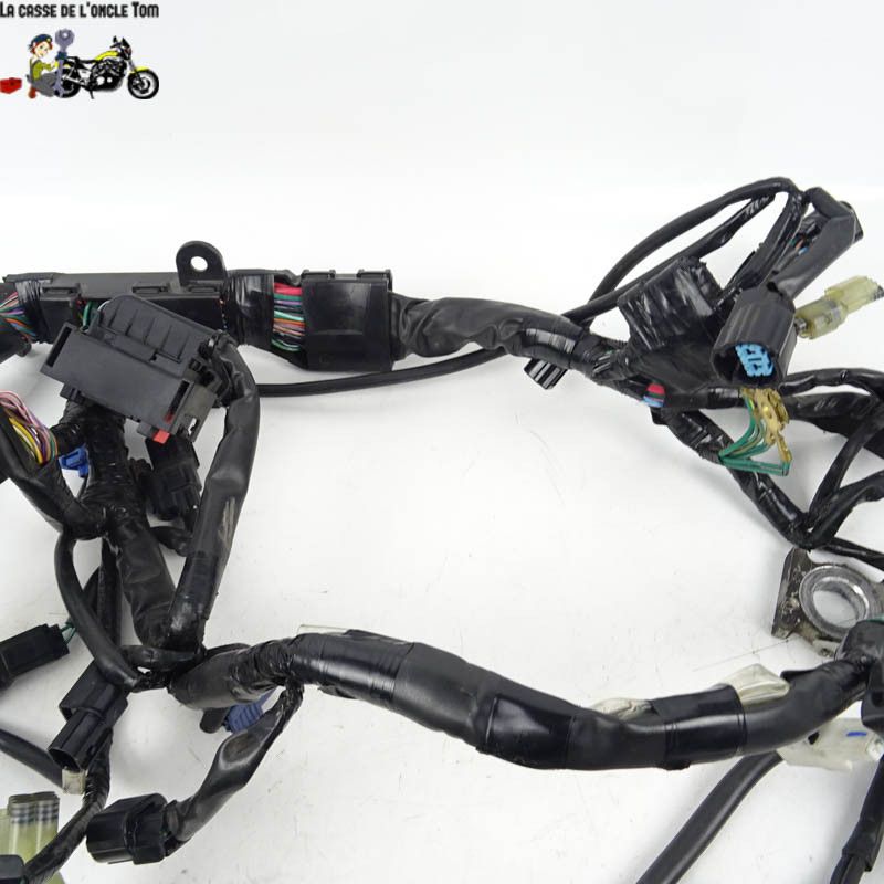 Faisceau électrique Honda 650 CBF 2015 - CTM-10192-026