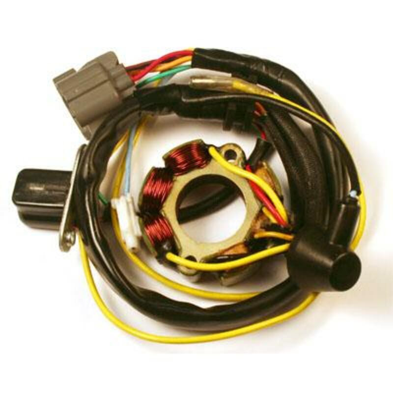 Stator avec bobine d'éclairage ELECTROSPORT - Suzuki RM-Z250 Stator avec bobine d'éclairage ELECTROSPORT - Suzuki RM-Z250