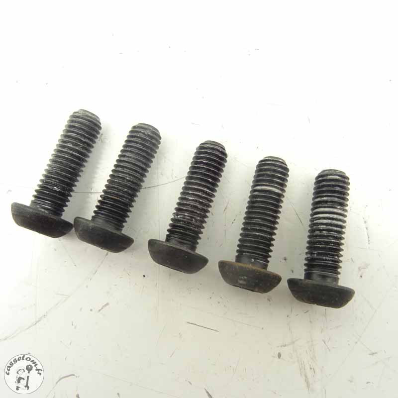 Vis fixation disque frein arrière KTM 790 Duke 2018