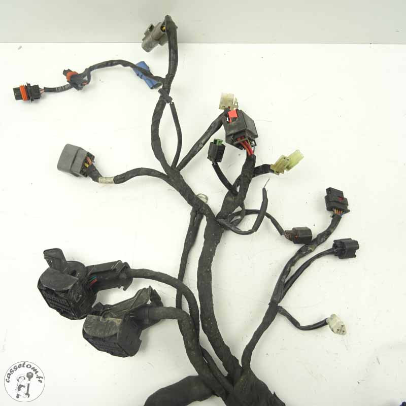 Faisceau Électrique KTM 790 Duke 2018 - Occasion