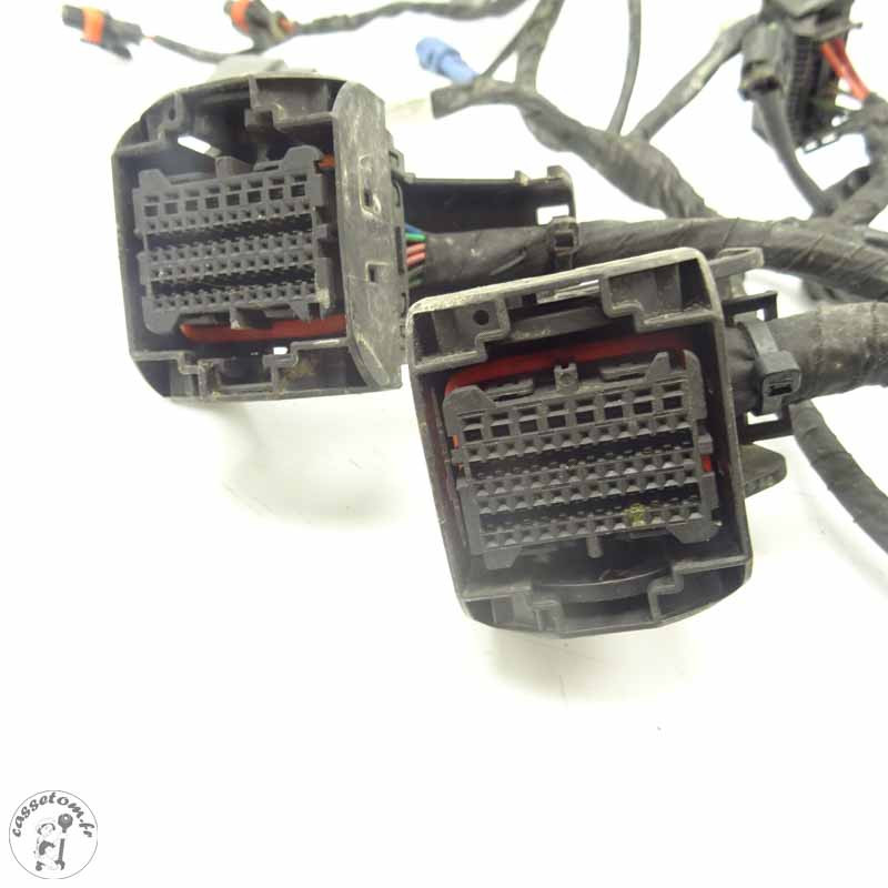 Faisceau Électrique KTM 790 Duke 2018 - Occasion