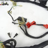 Faisceau électrique Honda 750 CB 2003 - CTM-9784-051