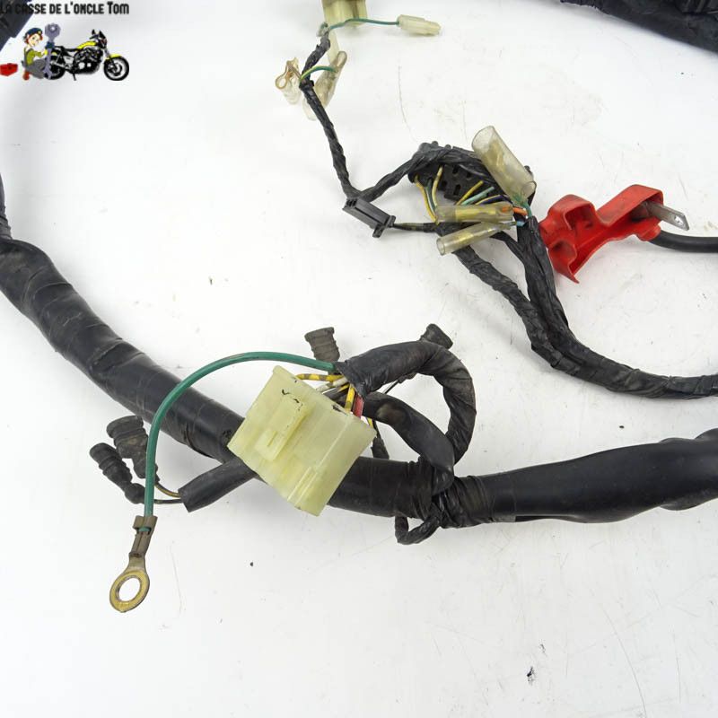 Faisceau électrique Honda 750 CB 2003 - CTM-9784-051