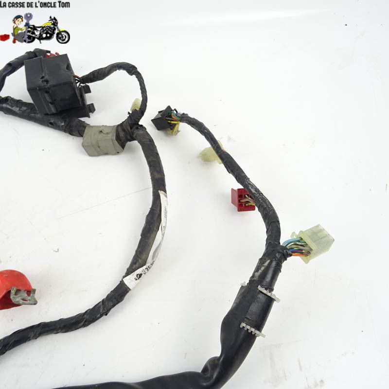 Faisceau électrique Honda 750 CB 2003 - CTM-9784-051