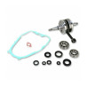 Kit vilebrequin WISECO - Yamaha Blaster 200