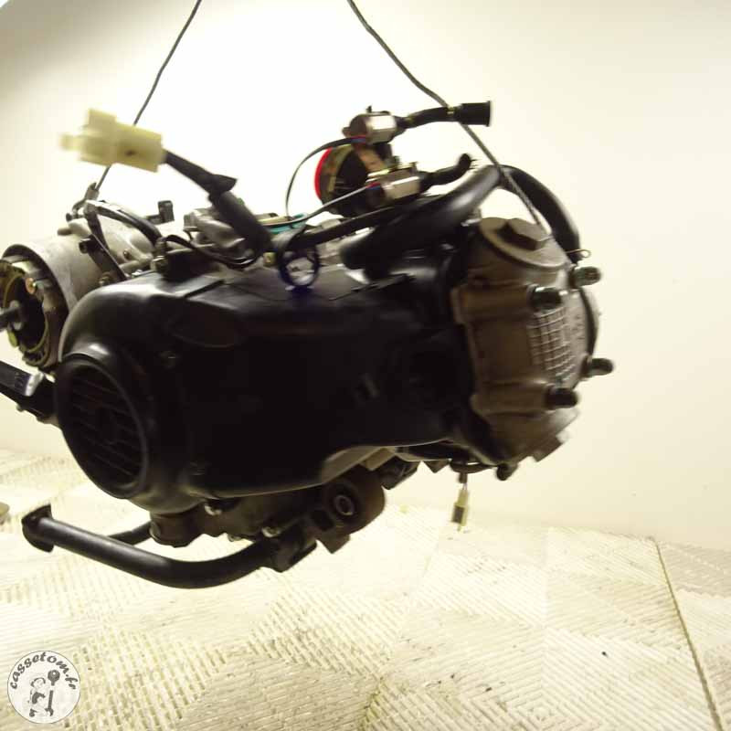 Moteur 2019 Sym 50 Fiddle : Pièce d'occasion recyclée