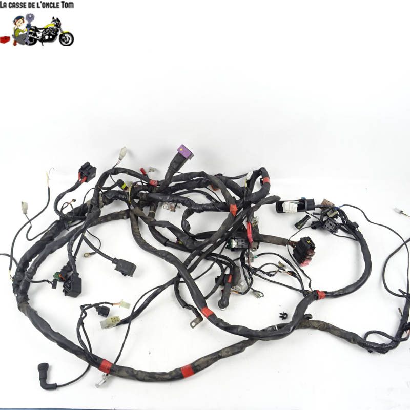 Faisceau électrique Piaggio 125 MP3 2006 - CTM-10364-024