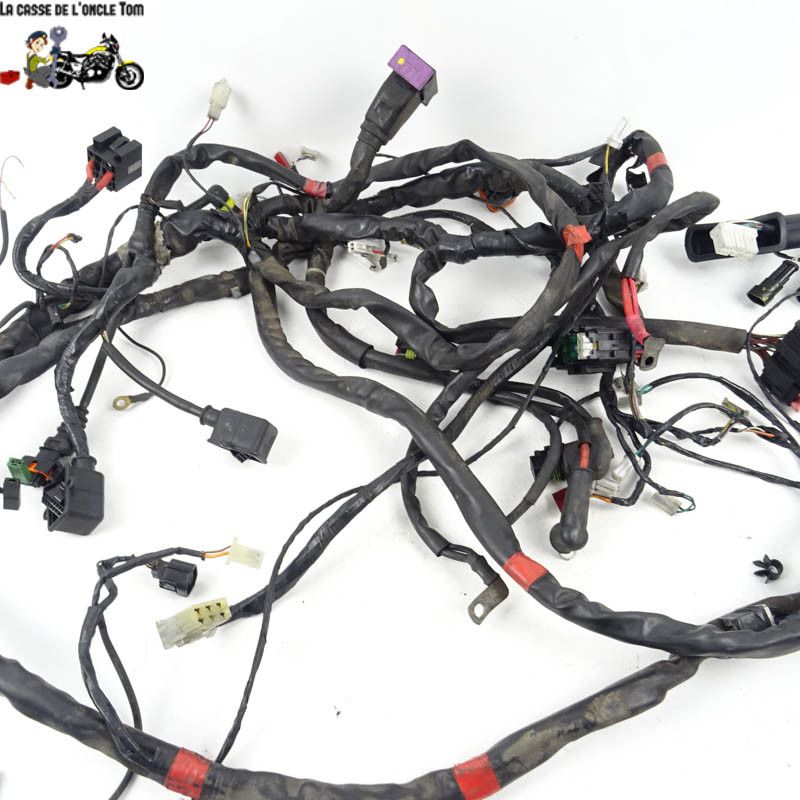 Faisceau électrique Piaggio 125 MP3 2006 - CTM-10364-024