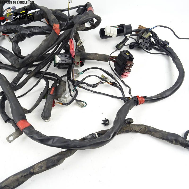 Faisceau électrique Piaggio 125 MP3 2006 - CTM-10364-024