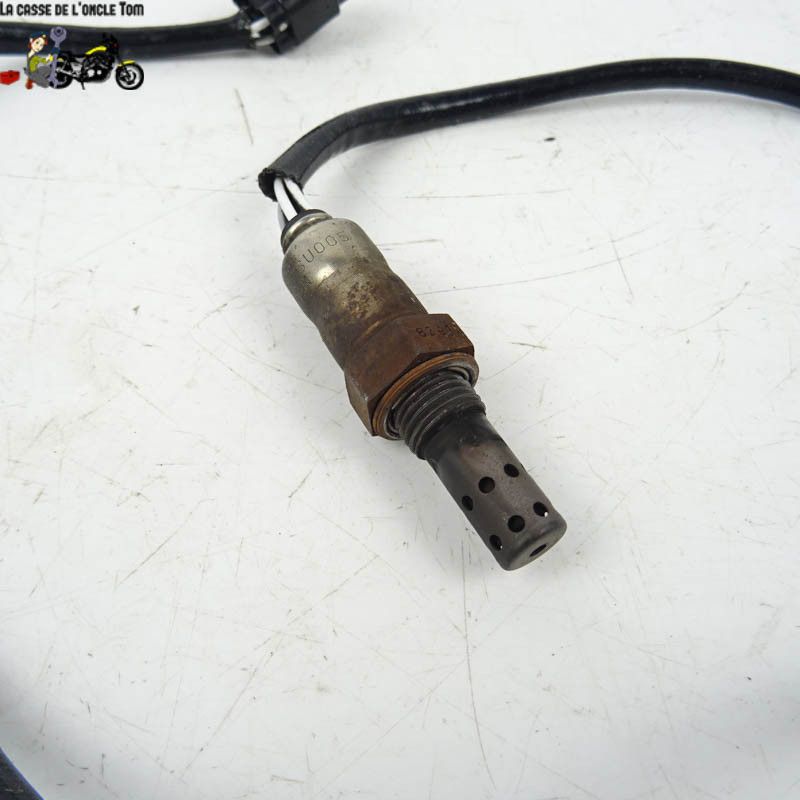 Sonde lambda Suzuki 650 GLADIUS 2009 -  Cassetom - Nos pièces motos