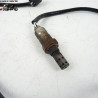 Sonde lambda Suzuki 650 GLADIUS 2009 -  Cassetom - Nos pièces motos