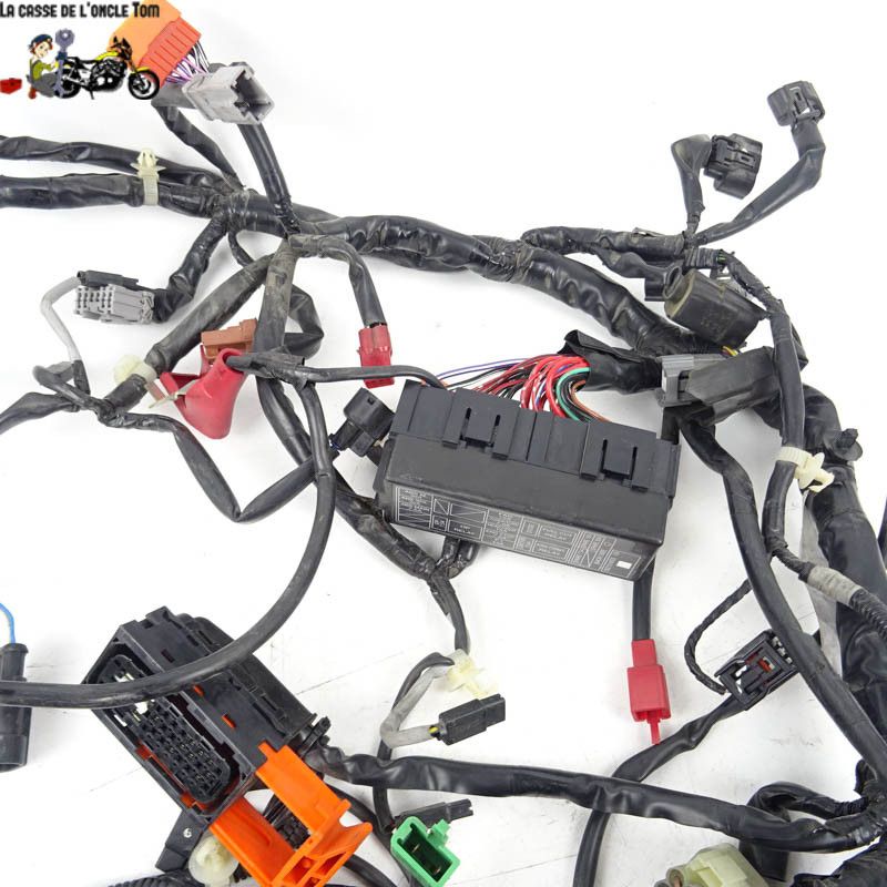 Faisceau électrique Honda 700 NC 2012 - CTM-10008-030