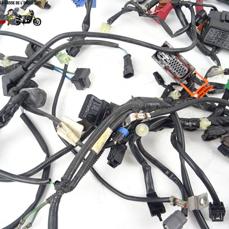 Faisceau électrique Honda 700 NC 2012 - CTM-10008-030