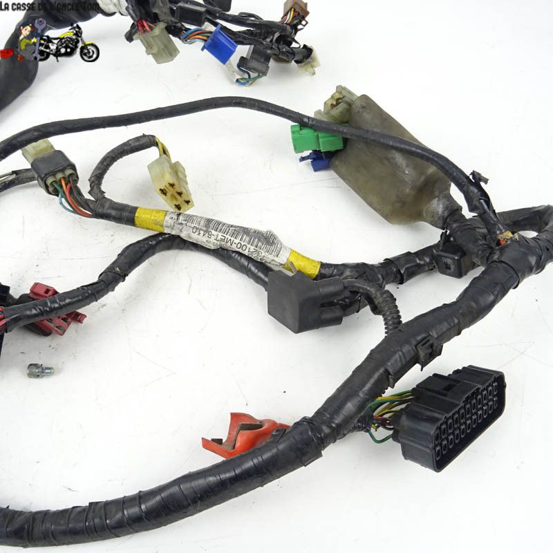 Faisceau électrique Honda 500 CBF 2004 - CTM-8855-020