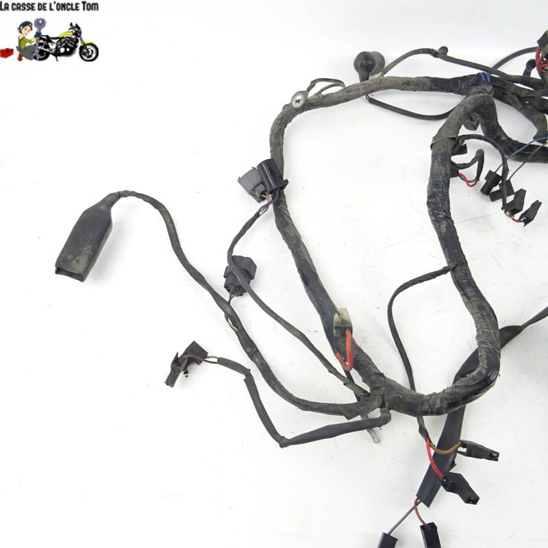 Faisceau électrique Triumph 900 TIGER 1998 - CTM-8571-059