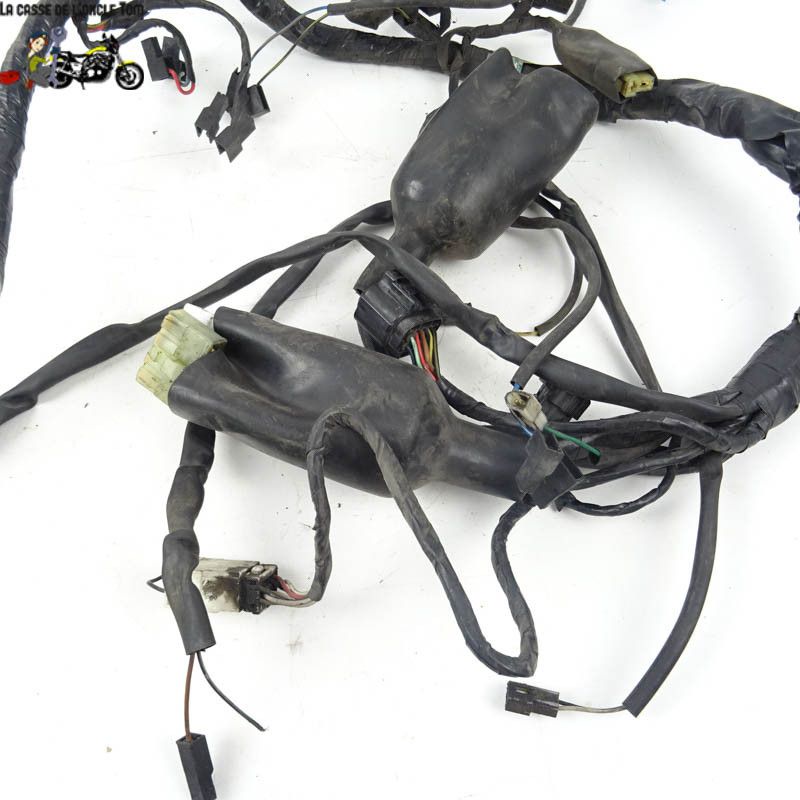 Faisceau électrique Triumph 900 TIGER 1998 - CTM-8571-059