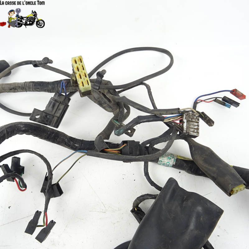 Faisceau électrique Triumph 900 TIGER 1998 - CTM-8571-059