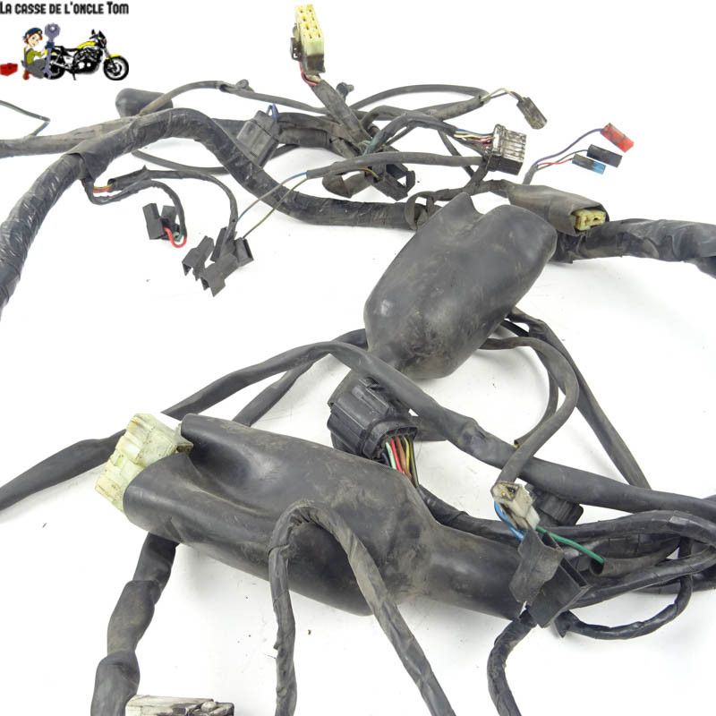 Faisceau électrique Triumph 900 TIGER 1998 - CTM-8571-059