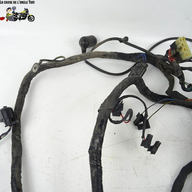 Faisceau électrique Triumph 900 TIGER 1998 - CTM-8571-059