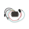 ELECTROSPORT Regulator ESR 510