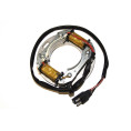 ELECTROSPORT Stator ESC 8081 Suzuki RM div.