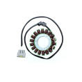 ELECTROSPORT Stator ESG 131 FJR 1300 (06-13)5