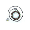 ELECTROSPORT Stator ESG 131 FJR 1300 (06-13)5