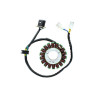 ELECTROSPORT Stator ESG 368 GV250 Aquila - EFI (09-13)