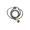 ELECTROSPORT Stator ESG 999 Aprilia RSV R 1000/Factory (04-09)/