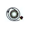 ELECTROSPORT Stator ESG 306 CAN AM