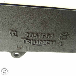 Bras oscillant protection en carbone  Triumph 675 daytona 2011