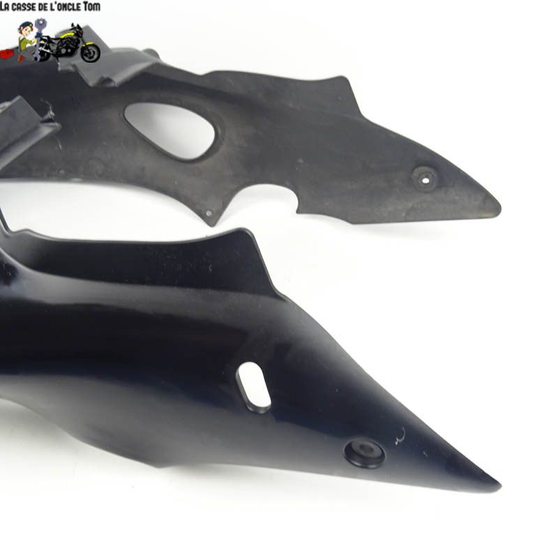 Coque arrière Suzuki 1300 GSX-R 2007 - CTM-10260-002