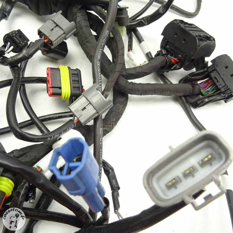 Faisceau Électrique KTM 890 Duke R 2023 - Haute Performance