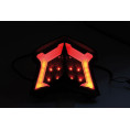 HIGHSIDER smart LED taillight KAWASAKI Z 900, Z 650, NINJA 650, Bj. 17-