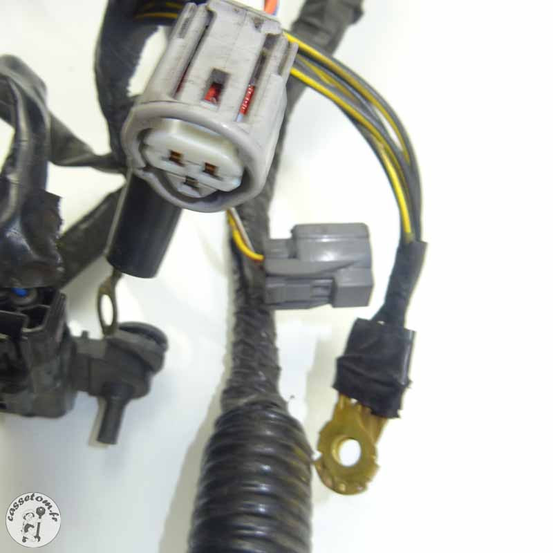 Faisceau électrique Kawasaki 750 Z 2011 - Pièce d'origine