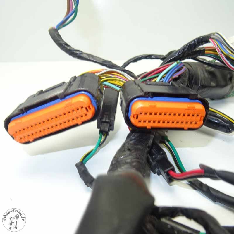 Faisceau électrique Kawasaki 750 Z 2011 - Pièce d'origine