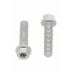 Vis tête hexagonale/Torx BOLT M6x1x25mm 10 pièces