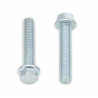 Vis à bride BOLT tête hexagonale 8mm M6x1x30mm 10 pièces