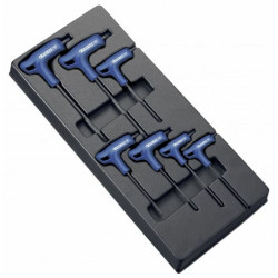Module d'outils EXPERT 7 clés males Torx en T - plateau plastique