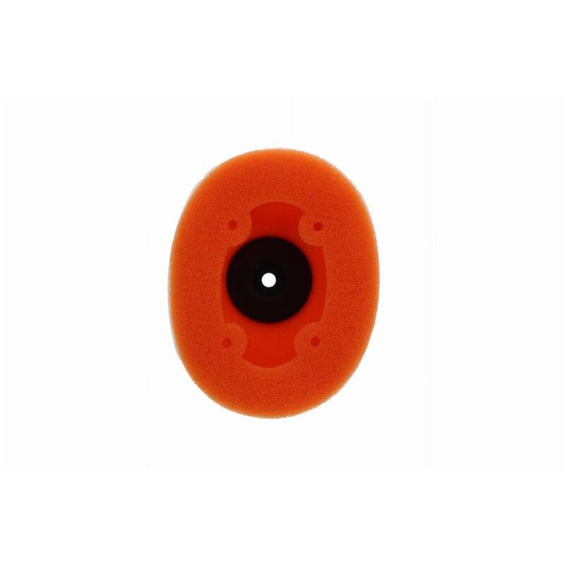 Filtre à air TWIN AIR - 154160