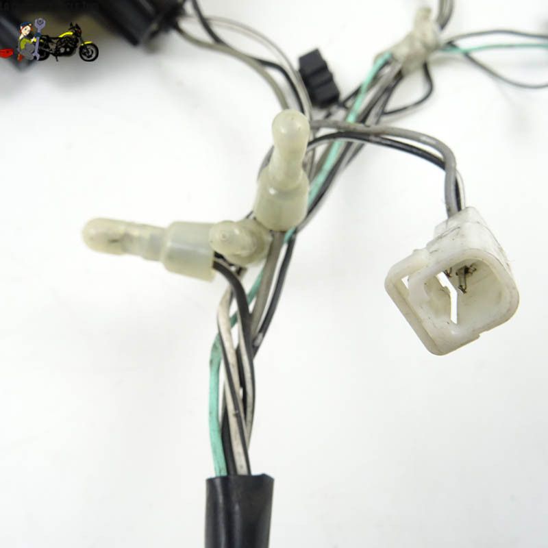 Feu Arrière Suzuki 650 DL 2004 - CTM-10112-015