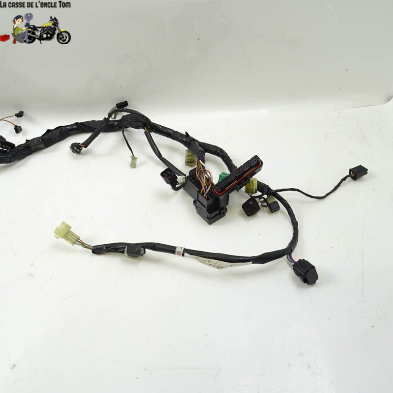 Faisceau éléctrique Suzuki 650 DL 2004 - CTM-10112-021